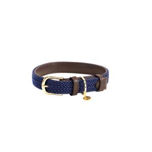 42517-03-dog-collar-made-of-nylon-kentucky-navy-blue