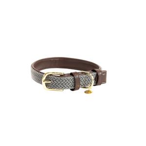 42517-08-dog-collar-made-of-nylon-kentucky-grey