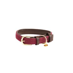 42517-17-dog-collar-made-of-nylon-kentucky-red-bordeaux