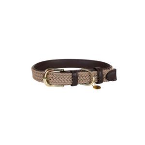 42517-32-dog-collar-made-of-nylon-kentucky-beige