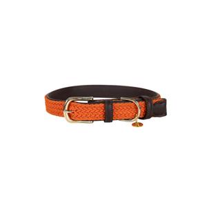42517-45-dog-collar-made-of-nylon-kentucky-orange