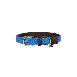 42517-61-dog-collar-made-of-nylon-kentucky-blue