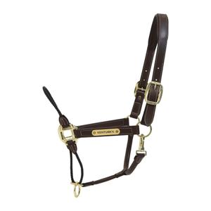 42540-05-leather-halter-for-horses-kentucky-reins-brown