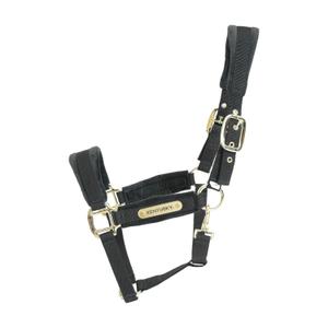 42558-01-velvet-halter-kentucky-black