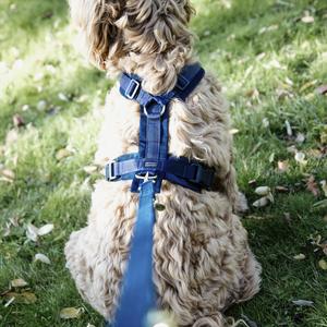 product/k/e/kentucky_42640-03-m_bleu-marine_3.jpg