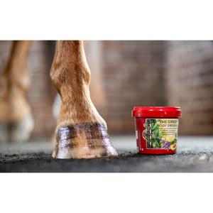 727005500-horse-hoof-cream-kevin-bacon-s-hoof-dressing-the-green-red-green