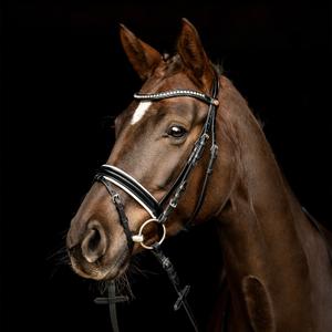 3101-5207-riding-bridle-noseband-kieffer-comfort-lyon-black-black-lined-browband-with-light-grey-ultrashine-crystals