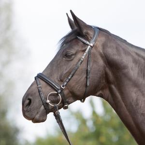 384-54415-384-51980-riding-bridle-noseband-kieffer-ultrasoftr-black-black-lined