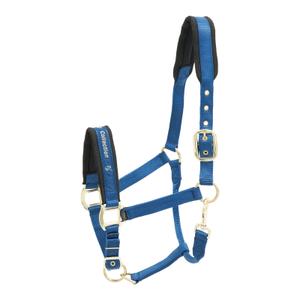 553-1540-nylon-horse-halter-kieffer-collection-blue