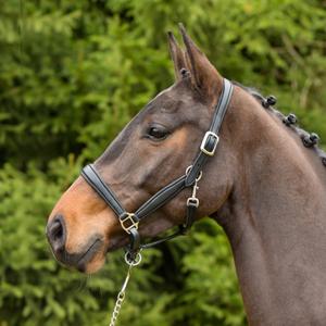 557-5198-leather-halter-for-horses-kieffer-ultrasoftr-black-black-lined