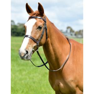 1025203004-hunting-bridle-with-reins-kincade-classic-brown