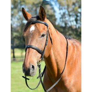 1025204001-cavesson-for-horse-with-reins-kincade-classic-black
