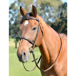 1025204005-cavesson-for-horse-with-reins-kincade-classic-brown