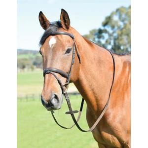 1025215005-horse-riding-bridle-with-reins-kincade-classic-brown