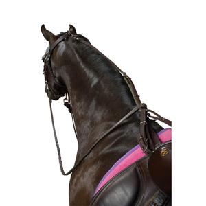 220937-anti-bleed-strap-for-horse-kincade-poly-black-one-size