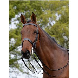 228351-bridle-for-horse-kincade-weymouth-ii-black