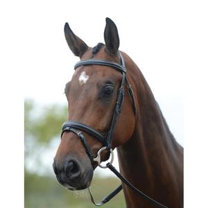 228373-bridle-for-horse-kincade-flash-black