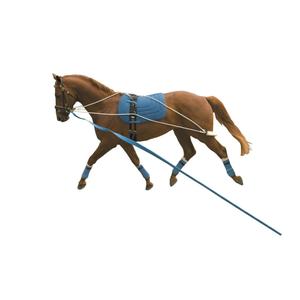 561500-horse-surfaix-kincade-white-blue-one-size