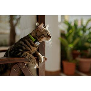 cy0535-cat-gps-activity-collar-kippy-green-white-gray-one-size