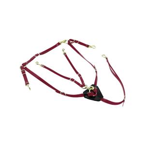 lk3036-burgundy-hunting-collar-for-horse-and-biothane-martingale-with-brass-buckles-lakota-burgundy-one-size