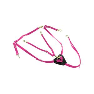 lk3036-pink-biothane-hunting-collar-for-horse-with-martingale-lakota-pink-one-size