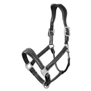 it00882-leather-halter-for-horse-lemieux-stitched-comfort-black