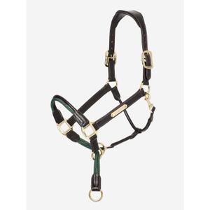 it03443-halter-for-horse-lemieux-rope-control-brown