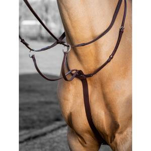 it03726-horse-racing-martingale-lemieux-arika-havana-silver