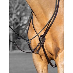 it03914-martingale-of-race-for-chevall-lemieux-kudos-brown-silver