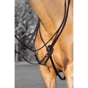 it03915-martingale-of-race-for-chevall-lemieux-kudos-brown-brass