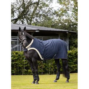 it04512003-walker-blanket-lemieux-navy