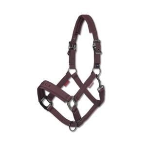 it07768007-nylon-halter-for-horse-lemieux-finesse-damson