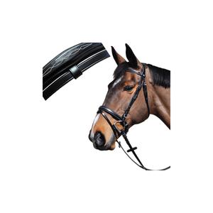121120-noir-combination-boston-riding-bridles-lexington-black