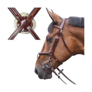 121142-camel-bridles-austin-cross-riding-lexington-camel