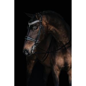1449-001-bridle-bit-for-horse-mrs-ros-johnny-double-silver-full