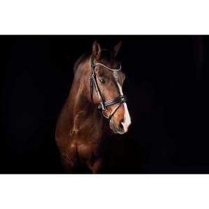 1563-001-bridle-bit-for-horse-mrs-ros-deluxe-black