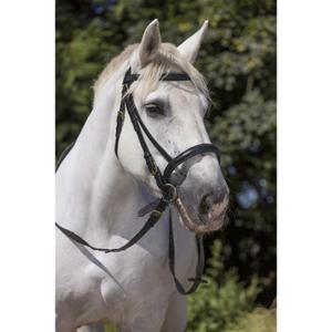 301998002-riding-bridles-norton-club-black-horse