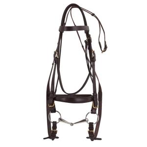 301998018-riding-bridles-norton-club-havana-horse