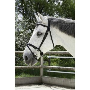 301829202-combination-bridles-norton-pro-black