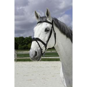 301832202-bridles-norton-pro-vague-black