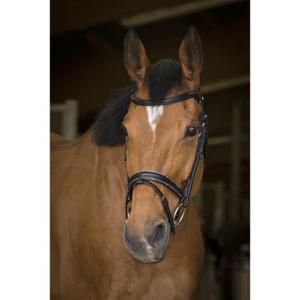 301892202-bridons-equitation-norton-pro-rock-noir