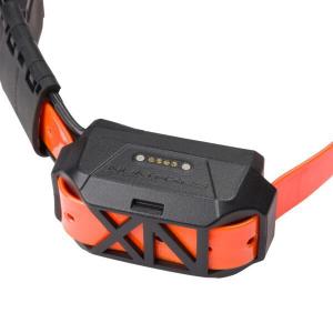 ngrepgeo040-systeme-de-localisation-pour-chien-sans-dressage-num-axes-canicom-gps-mini-noir-tu