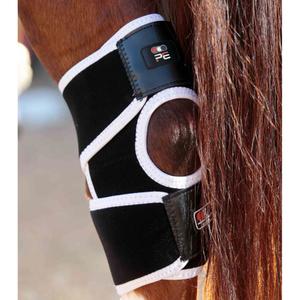 1016-magnetic-knee-protectors-for-horses-premier-equine-magni-teque-black-one-size