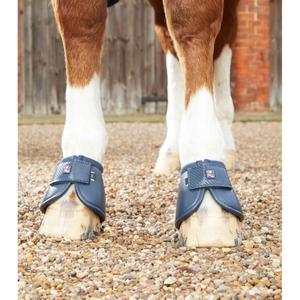product/p/r/premier-equine_1020xxln_4.jpg