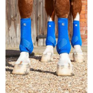 1029xlblu-horse-gaiters-premier-equine-air-tech-sports-medecine-royal-blue