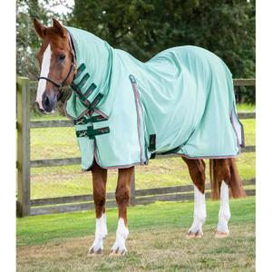 207756gre-mesh-flyswatter-with-neck-cover-premier-equine-combo-mint-green