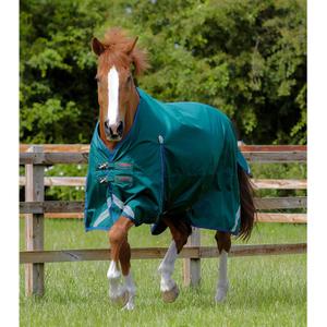 216650g-waterproof-outdoor-horse-blanket-premier-equine-buster-original-0-g-green