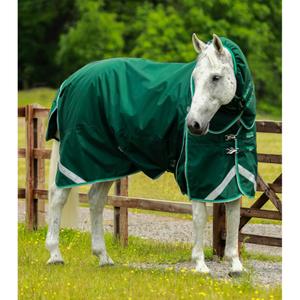 219850g-waterproof-outdoor-horse-blanket-with-neck-cover-premier-equine-buster-200-g-green
