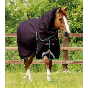 219850p-waterproof-outdoor-horse-blanket-with-neck-cover-premier-equine-buster-200-g-purple