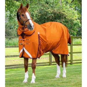 220850-220873-waterproof-outdoor-horse-blanket-with-neck-cover-premier-equine-buster-combo-200g-burnt-orange